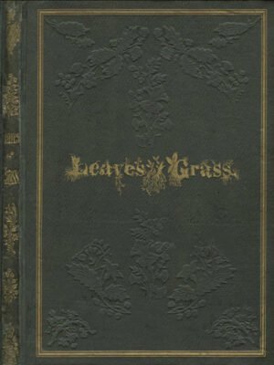 cover Madame Bovary - Gustave Flaubert