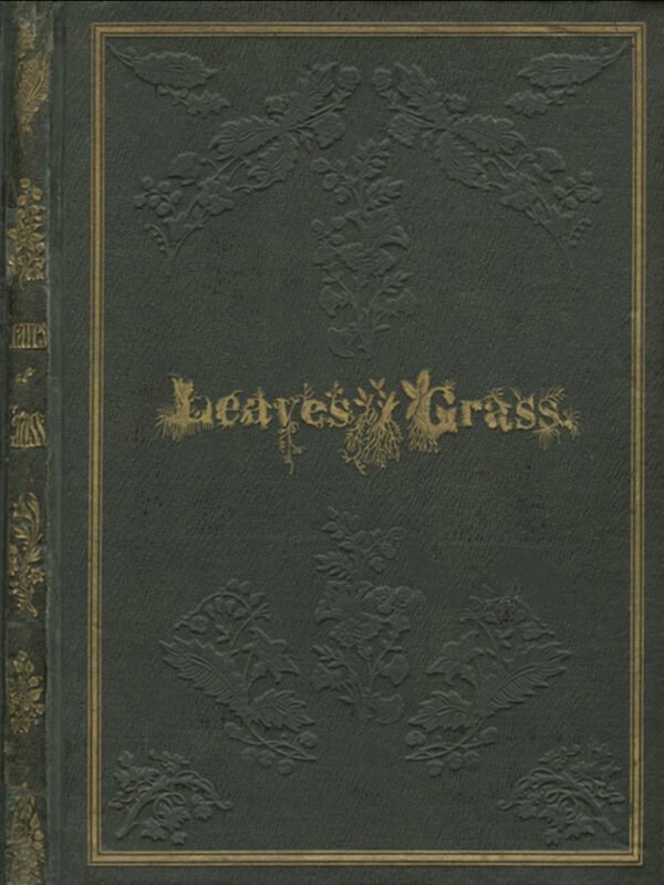cover Madame Bovary - Gustave Flaubert